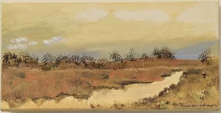 Aquidneck Land Trust: Pheasant Drive Salt Marsh, 2023