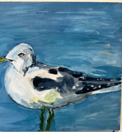 Second Beach Gull No.5