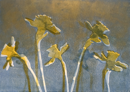 Daffodils 1