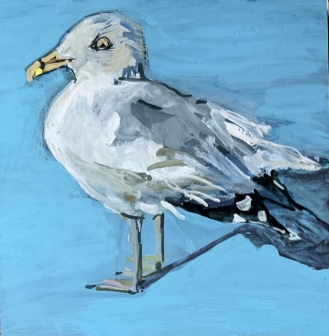 Sachuest Beach Gull #001