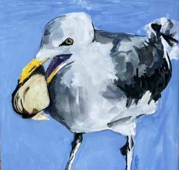 Sachuest Beach Gull #003
