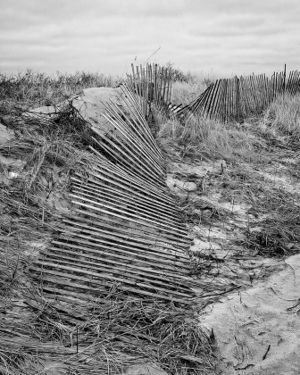 Boundless - Westport, MA.