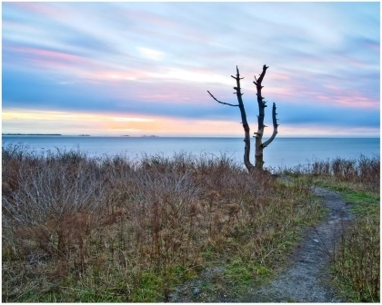 Still Standing - Sachuest Point, Middletown, RI.