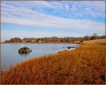 Sheffield Cove - Jamestown, RI.