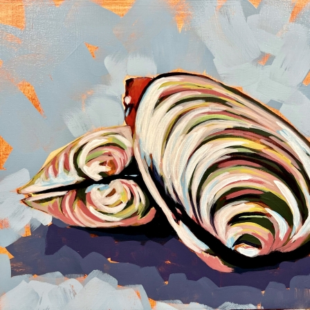 Quahog 2