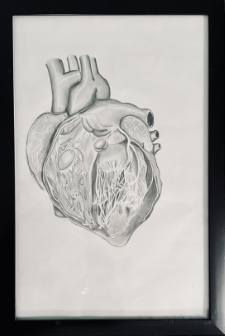 Inside Heart