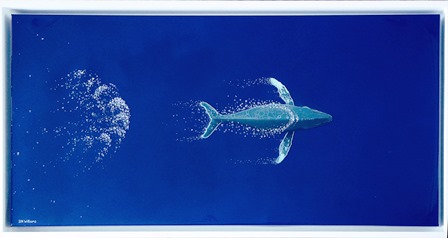 Humpback in the blue