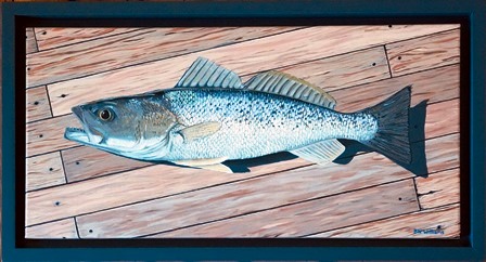 Weakfish on the deck