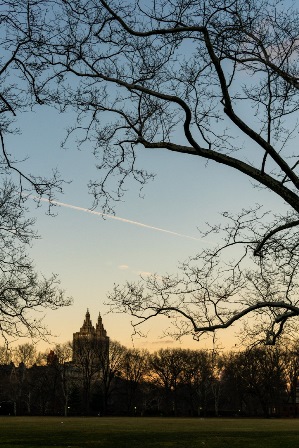 Last light in Central Park