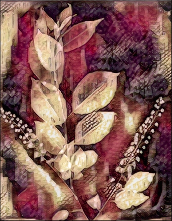 Lumen1
