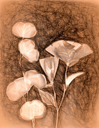 Lumen3
