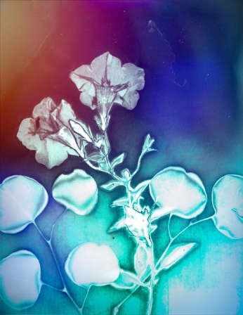 Lumen6