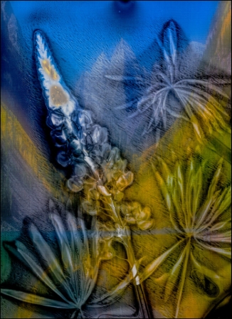 Lumen8