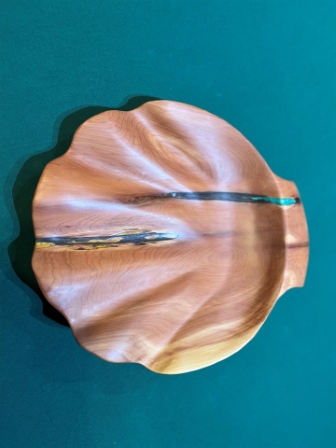 Cedar scallop