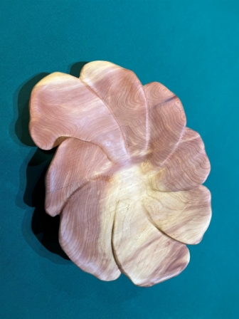 Cedar flower
