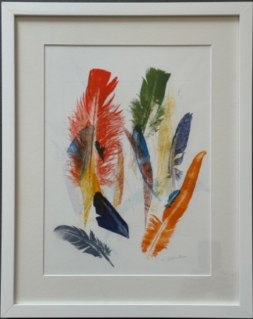 Colorful Feathers