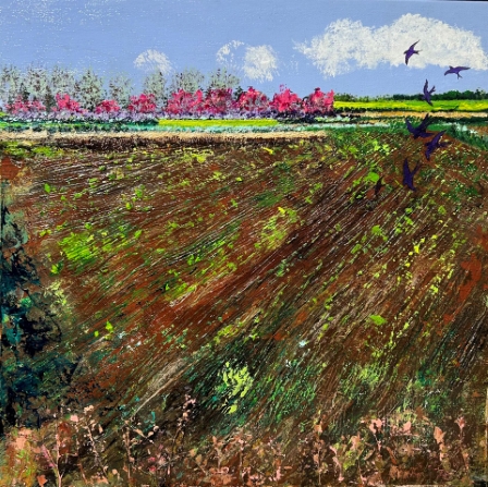 Hay  Field, St. Mary's Church, Plowed