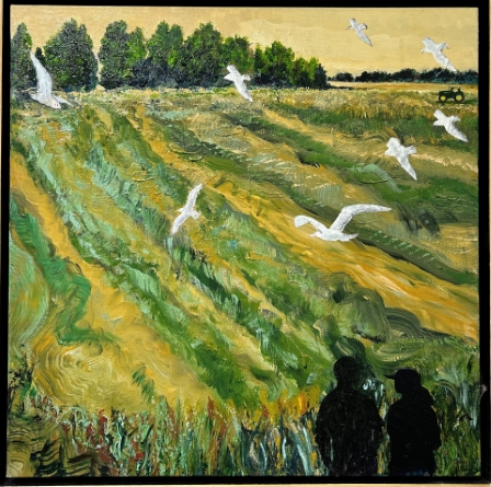 Field at St. Mary's Church, Mown