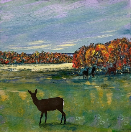 Deer in Field on Wapping Road