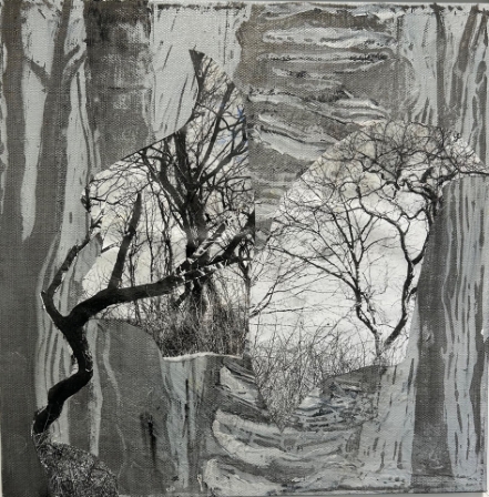 Winter Woods