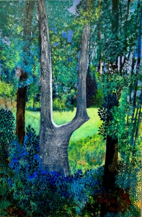 Trail MarkerTree, Oakland Forest