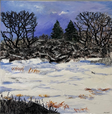 February Field
