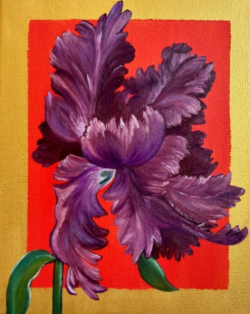 Curly Tulip