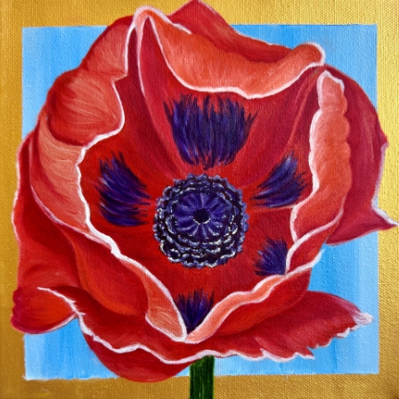 Poppy