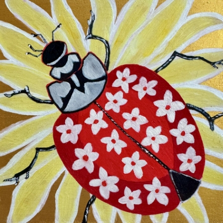 Ladybug