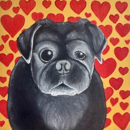 Pug