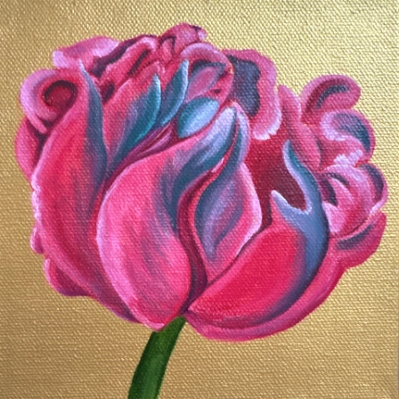 Tulip