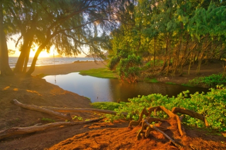 Hawaiian Sunrise