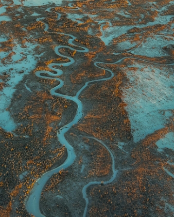 Braided Rivers Near Fairbanks Alaska