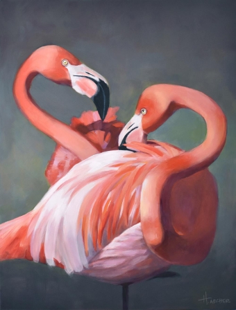 Flamboyance: Paired