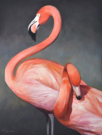 Flamboyance: Preening