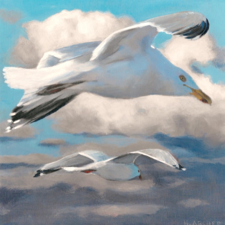 Gulls Over the Bay