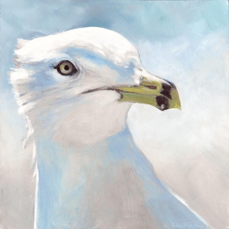 Glamour Gull