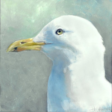 Glamour Gull II