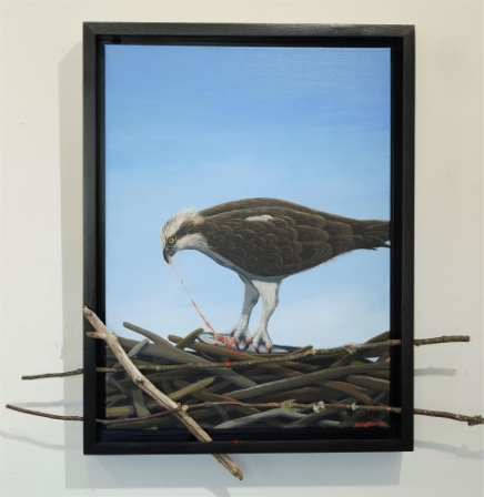 Osprey Feast