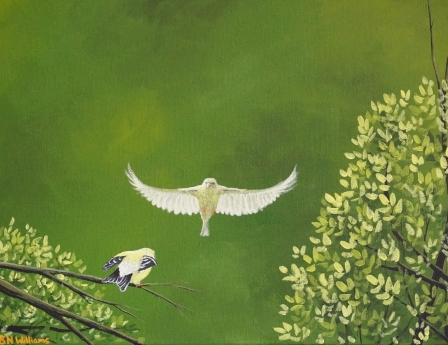 Goldfinch Spat