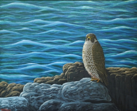 Peregrine's Perch