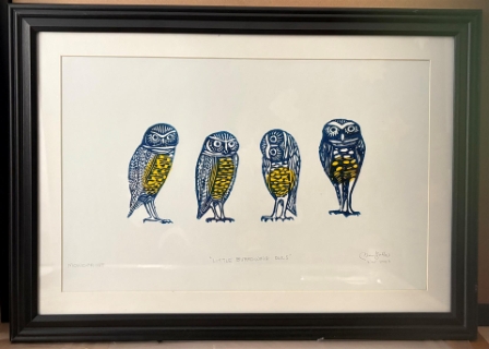 Little Burrowing Owls