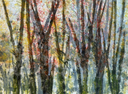 Spring Explosion