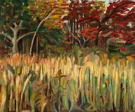 Fall in Westport