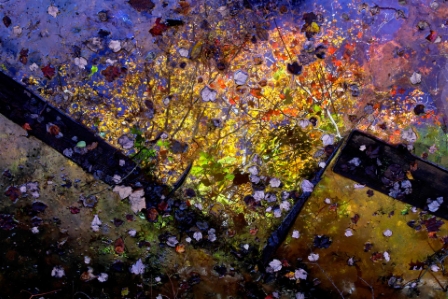 Autumn Galaxy