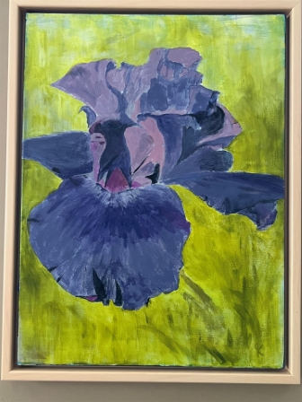 Velvet Iris