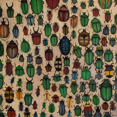 The Beetles